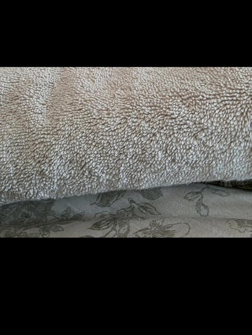 Charter Club Cream Cotton Towel with Woven Texture